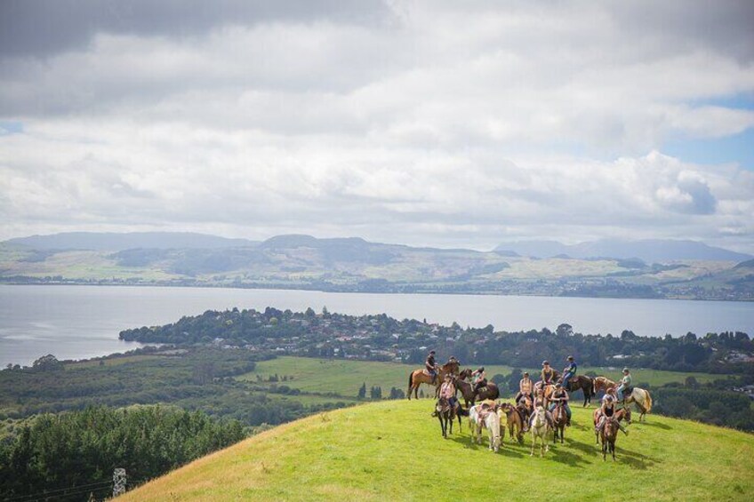 Guided Horse Trekking from Rotorua
