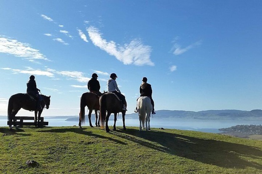 Horse trekking overlooking Lake Rotorua