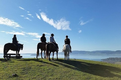 Geführtes Pferdetrekking von Rotorua