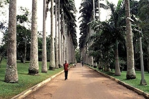 Aburi Garden Tour And Transfer