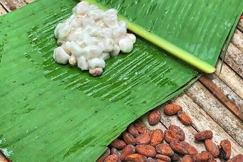 Show item 5 of 17. One Day Cocoa Farm Experience, Boti Waterfall,aburi Botanical Gardens