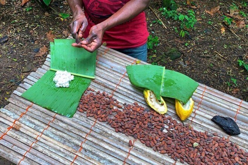 Show item 1 of 17. One Day Cocoa Farm Experience, Boti Waterfall,aburi Botanical Gardens