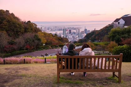 Privé et personnalisé : Demi-journée à Kobe avec un habitant