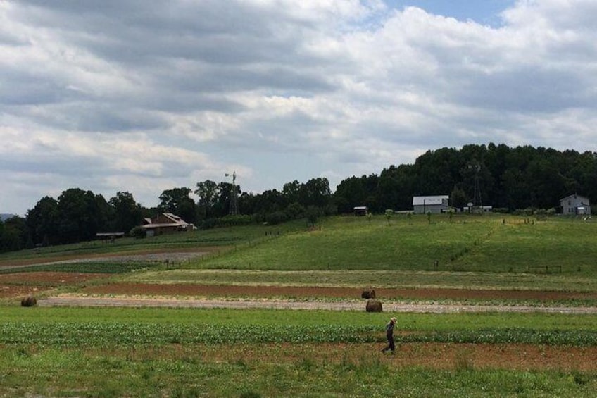 Delano Tennessee Amish Community