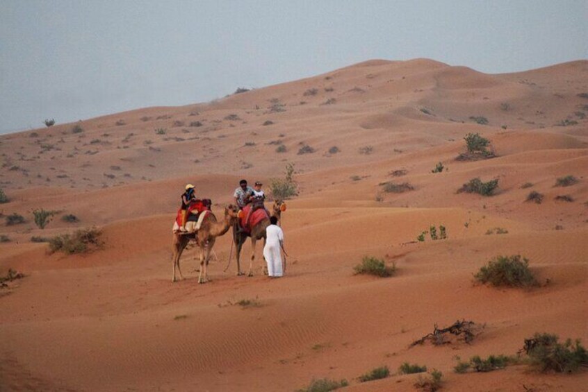 Camel rides