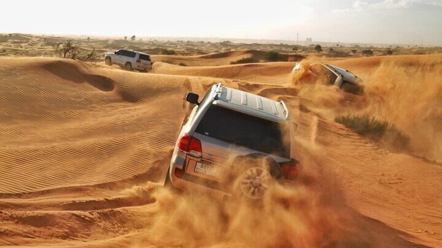 group safari
