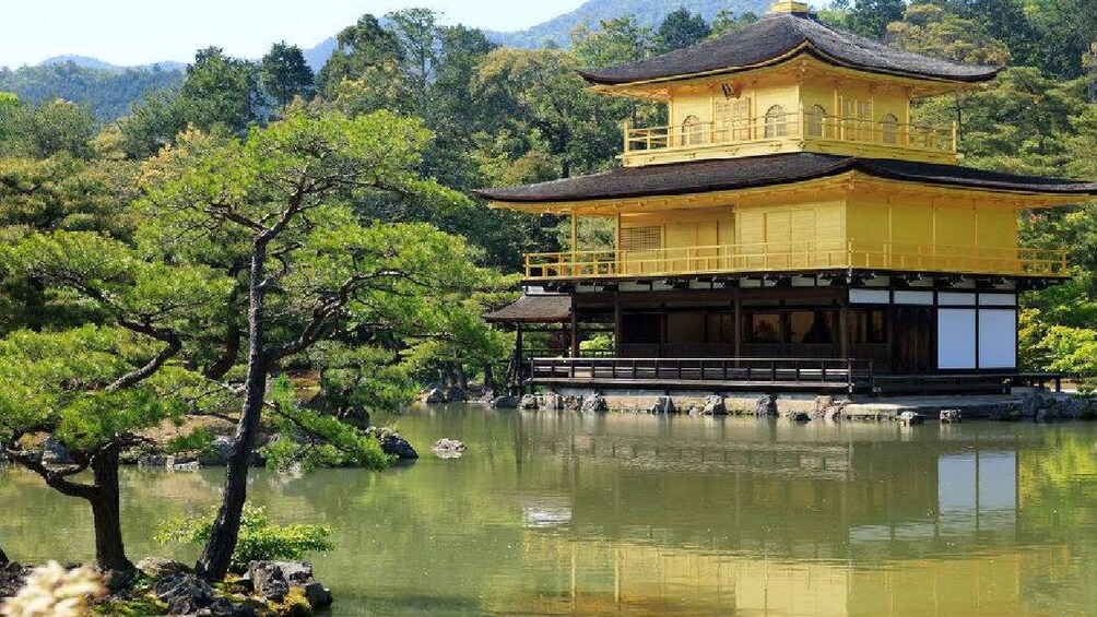 Kyoto Day Tour Arashiyama Kinkaku Ji Temple Inari Shrine