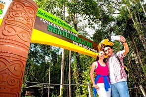 Semenggoh Wildlife Rehabilitation Centre - Small Group Tour