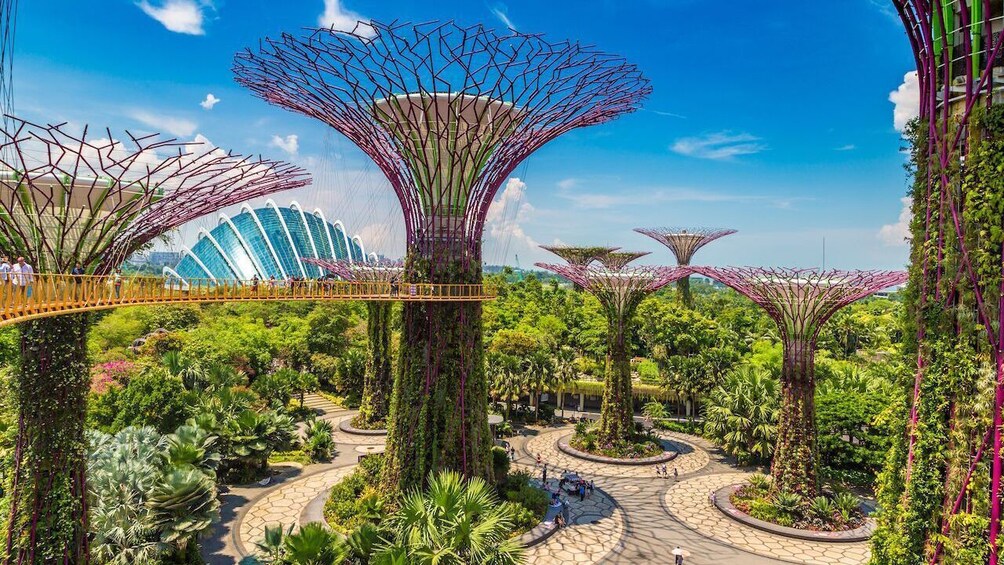 City Experience + Gardens by the Bay ( Flower Dome & SuperTree )