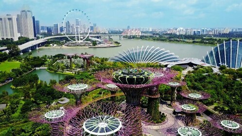 CityExperience+Gardens by the Bay(FlowerDome+CloudForest)+RoundtripTransfer