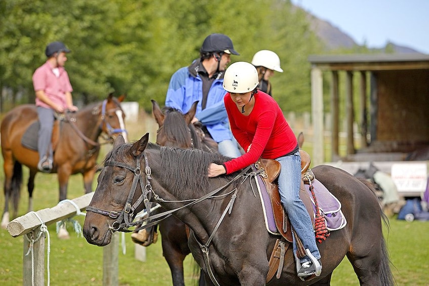 Walter Peak Horse Trek