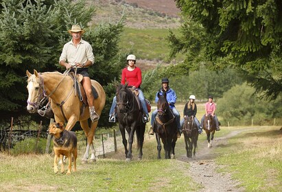 Excursión a caballo al Pico Walter