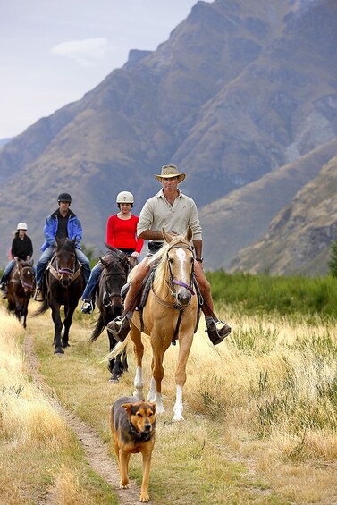 Walter Peak Horse Trek