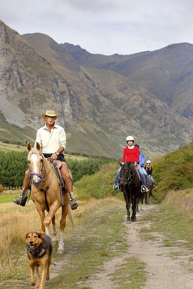 Walter Peak Horse Trek