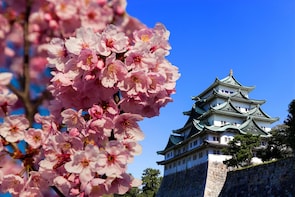 Private & Personalized: Full Day in Nagoya with a Local