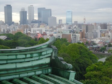 私人和个性化：与当地人一起在名古屋半日游