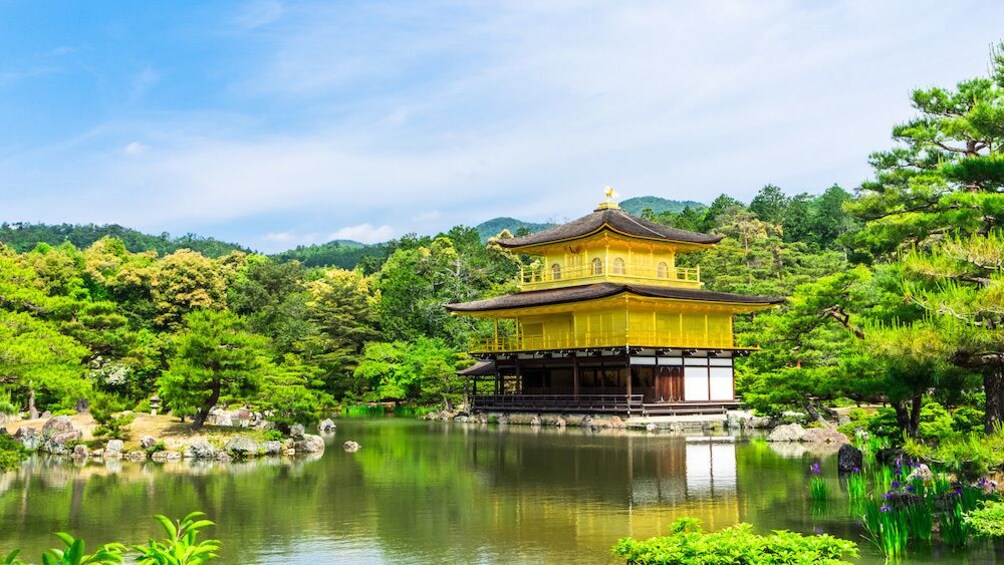 Kyoto Morning Tour With Nijo Castle And Kinkakuji Temple