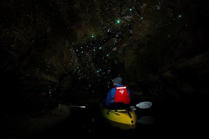 Must do glow worm experience in New Zealand, our intimate settings get up close and personal with the glow worms 