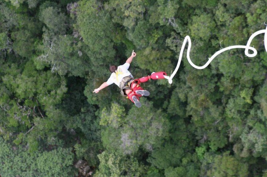 The World's Best Bungee in Bloukrans Bridge