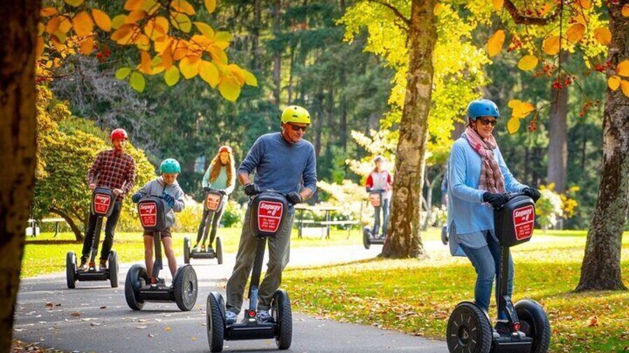 Playtime on Segways in Queenstown Gardens