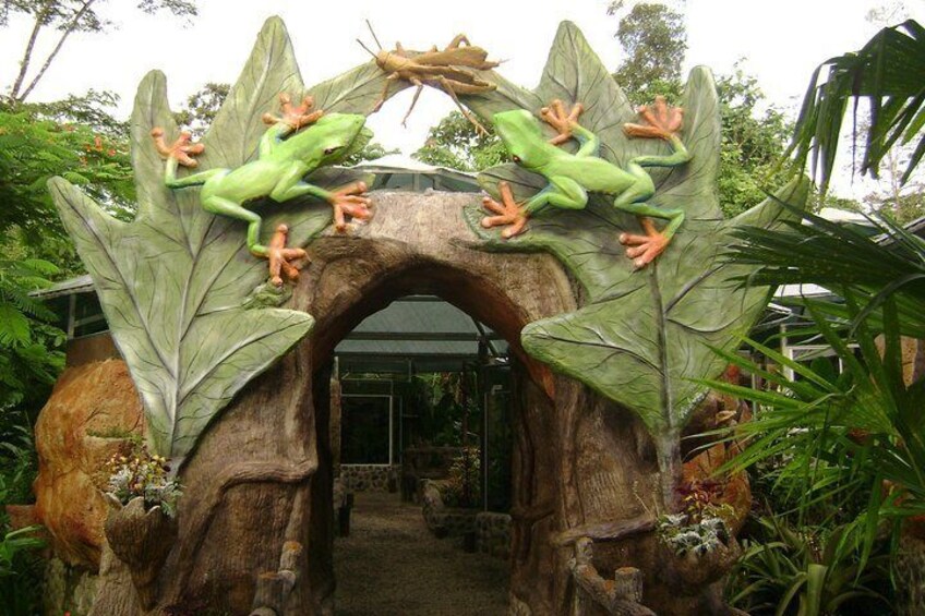 Natura Eco Park - Day Pass (butterflies frogs snakes crocodiles turtles more)