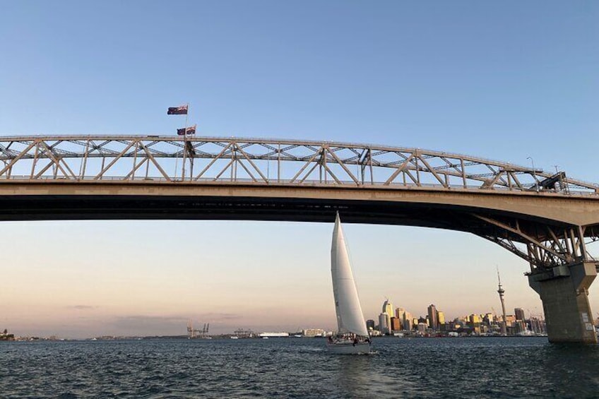 Auckland Harbour Sailboat Cruise Including Three Course Dinner