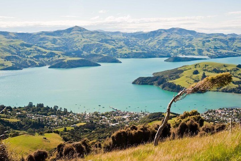 Akaroa