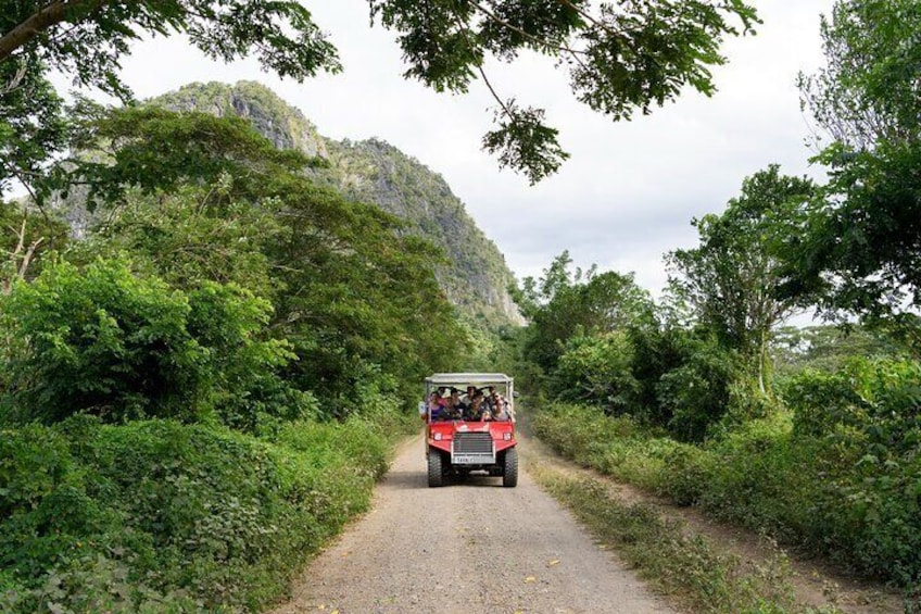 Naihehe Cave Safari in Sigatoka with BBQ Lunch