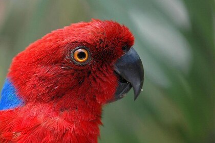 Kula Eco Park Admission