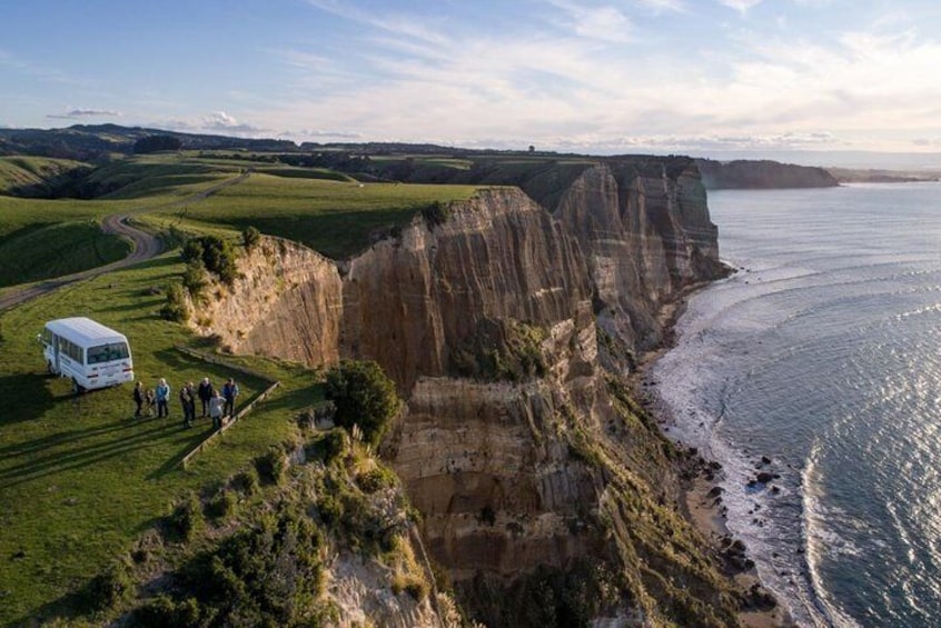 Gannet Safaris Overland tour to Cape Kidnappers Gannet Colony