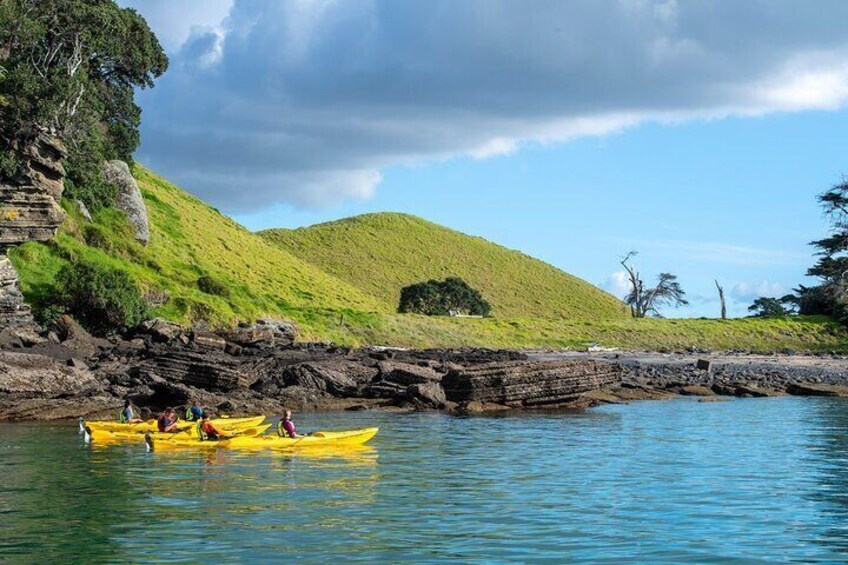 Motukorea / Browns Island Sea Kayak Journey