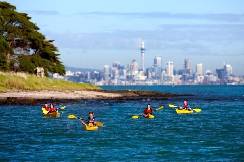 Kayaking in Auckland city