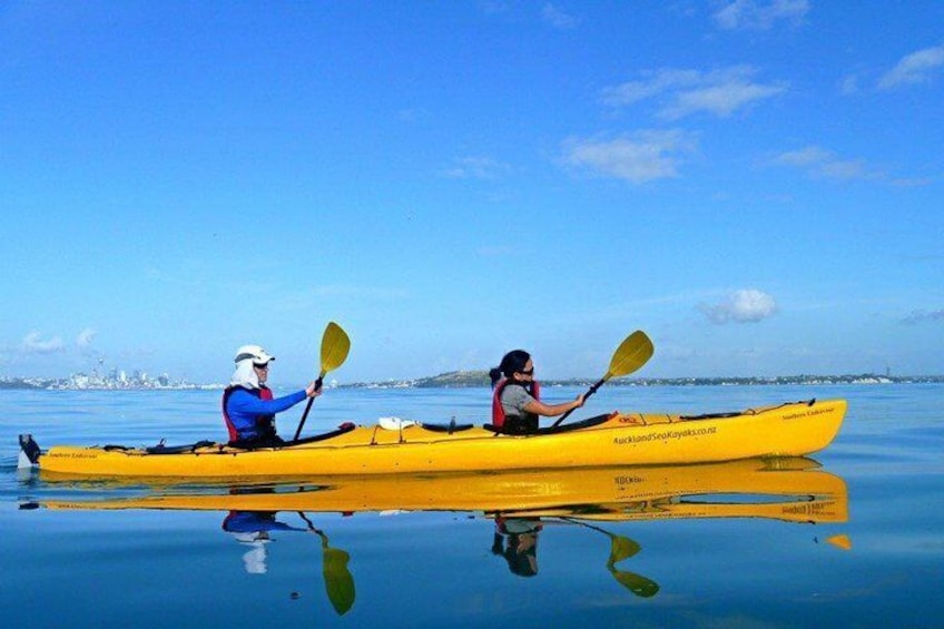 Paddling on our Motukorea tour on a glassy day