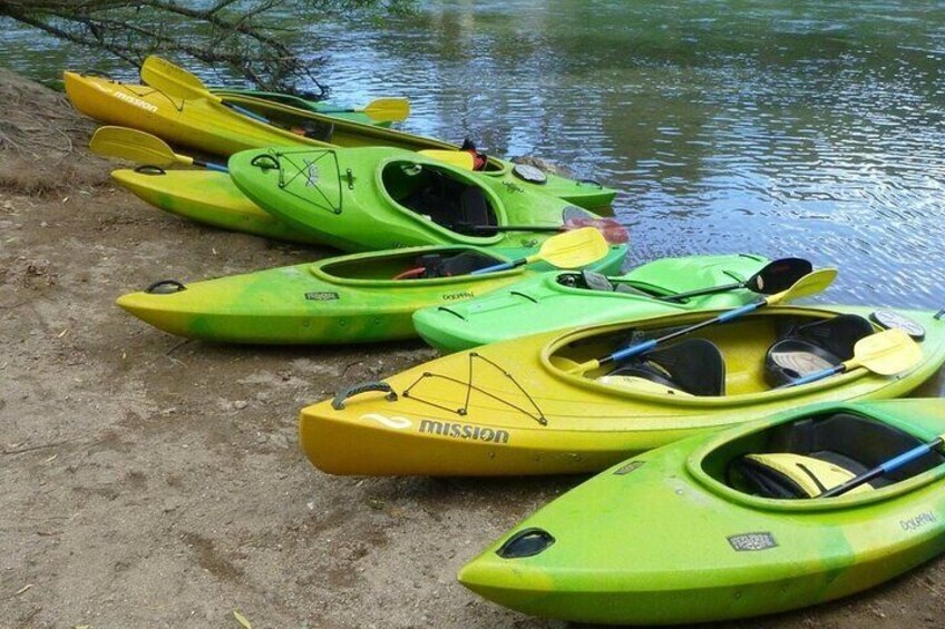 2-Hour Waikato River Guided Kayak Trip from Taupo