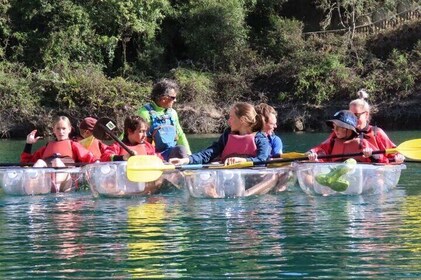 2-Hour Waikato River Guided Kayak Trip from Taupo