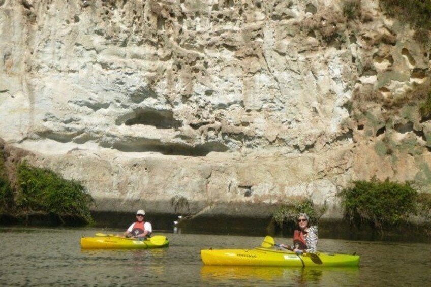 2-Hour Waikato River Guided Kayak Trip from Taupo