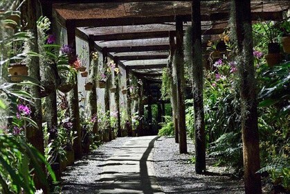Half Day Sightseeing - Wonders of Nadi Tour