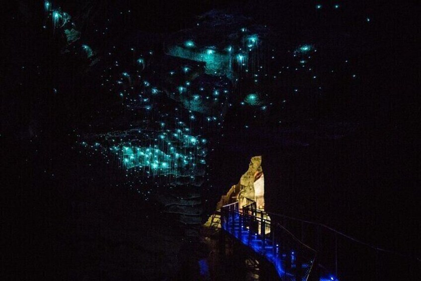 Waitomo Glow Worm Caves 