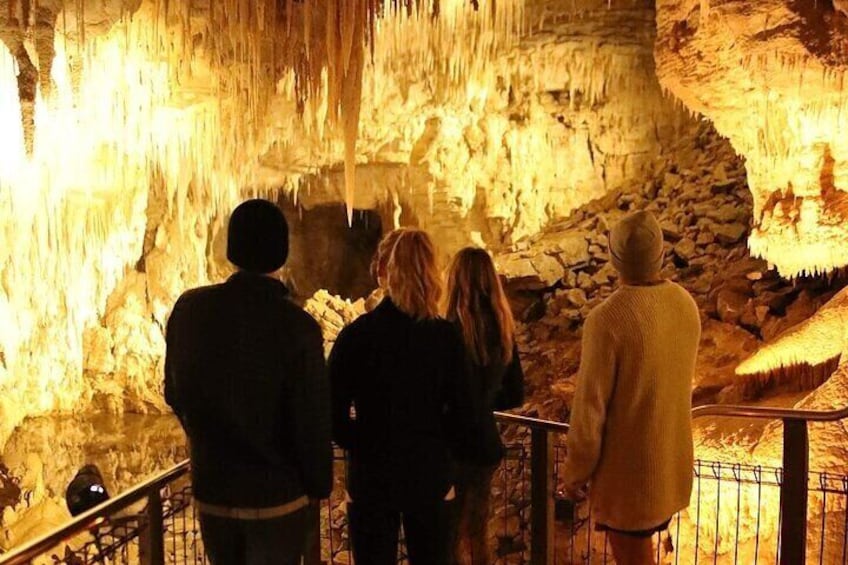 Waitomo Glow Worm Caves 