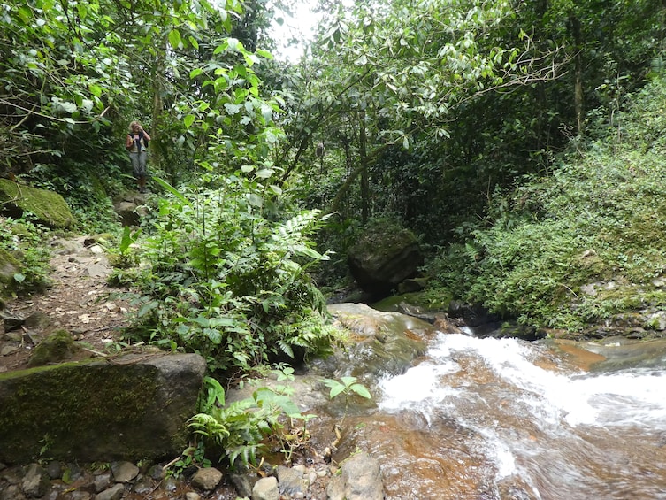 Show item 3 of 10. Exclusive Nature Adventure, Colombia, Cali