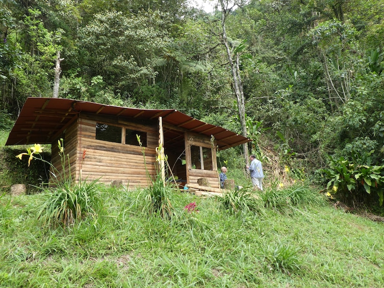 Show item 5 of 10. Exclusive Nature Adventure, Colombia, Cali