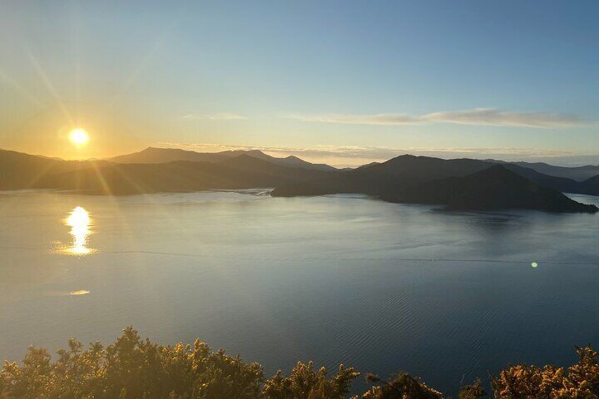 Half-Day Guided Sea Kayak Trip from Picton