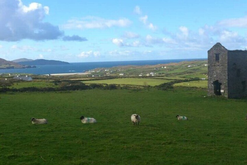 Copper Mine Village Allihies ,West Cork