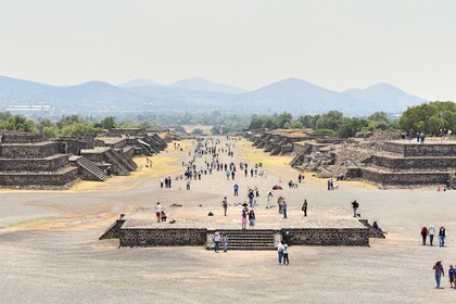 Tour número 1 en la Ciudad de México: Pirámides de Teotihuacán de 3X1 más.....