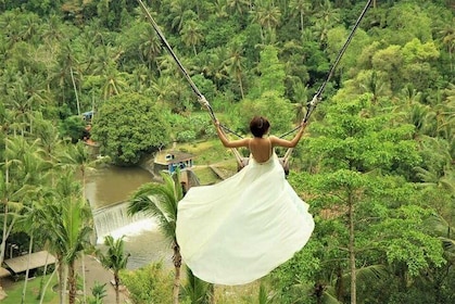 Ubud: Monkey Forest - Jungle Swing - Rice Terrace - Watertempel en waterval