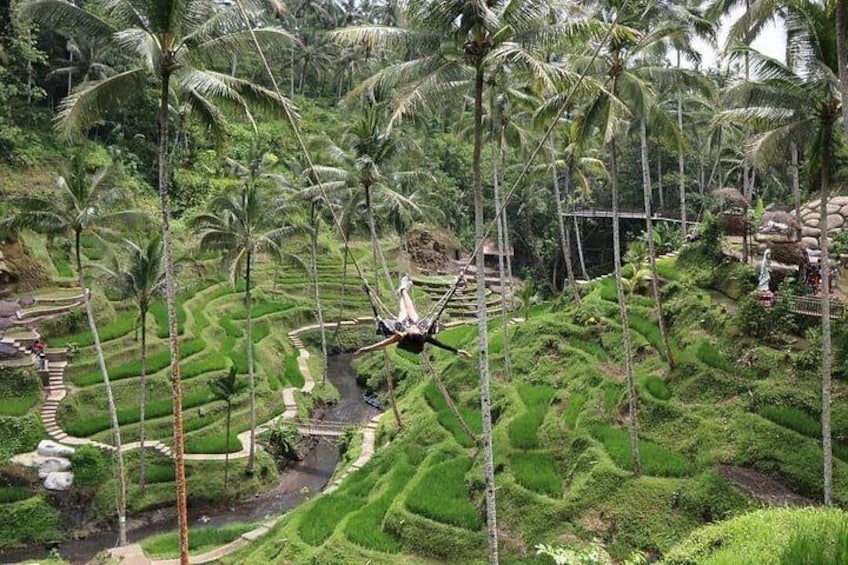 Bali Swing Tegallalangg Ubud
