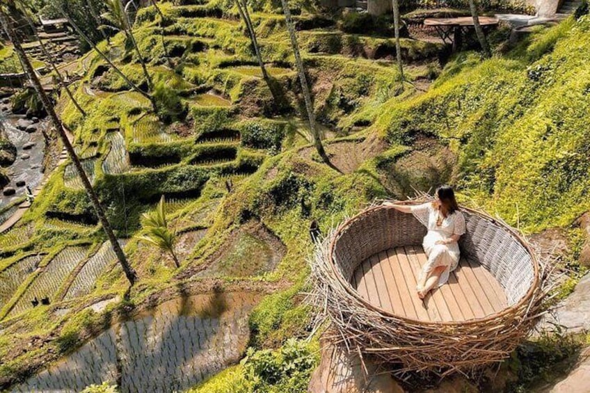 Ubud : Monkey Forest - Jungle Swing - Rice Terrace - Water Temple and Waterfall