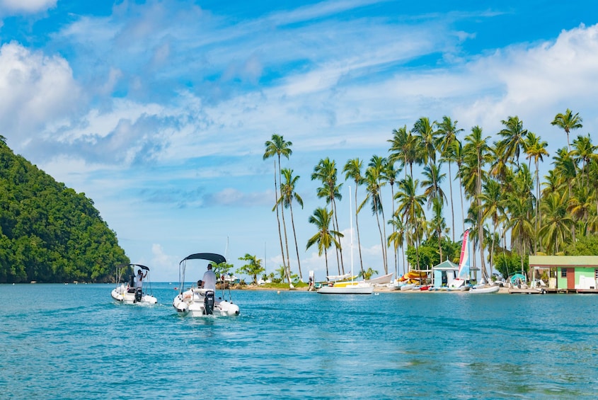 Soufriere Captain for a Day & Snorkeling