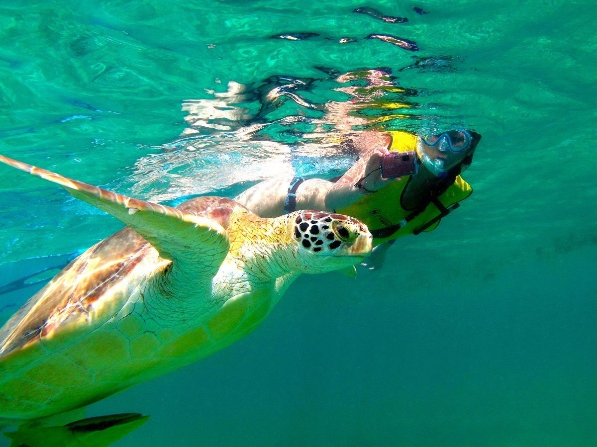 Swim With Turtles Cenote Tour
