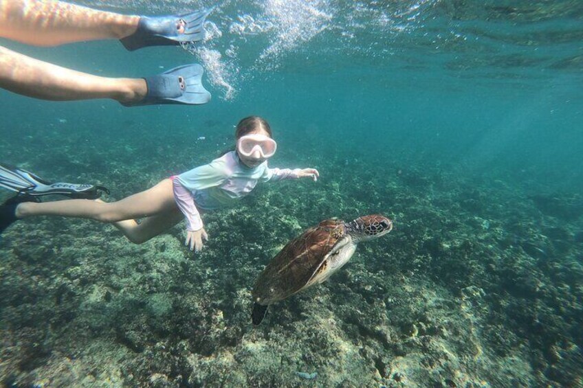 Cruises to Daymaniyat & Snorkeling